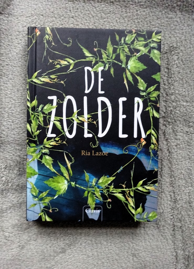De Zolder - Ria Lazoe, Verzenden, Gelezen