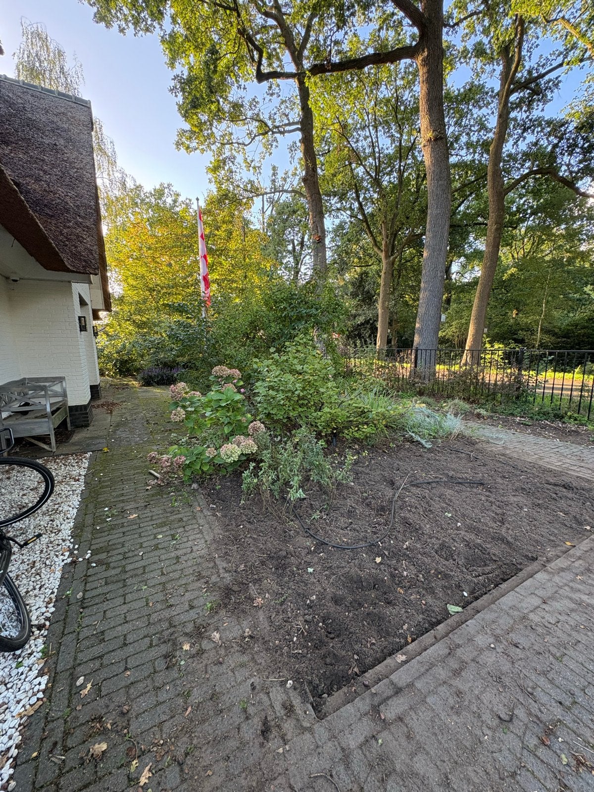 Gezocht vulling voor dit kale stukje, Tuin en Terras, Overige soorten, Vaste plant, Ophalen of Verzenden, Halfschaduw