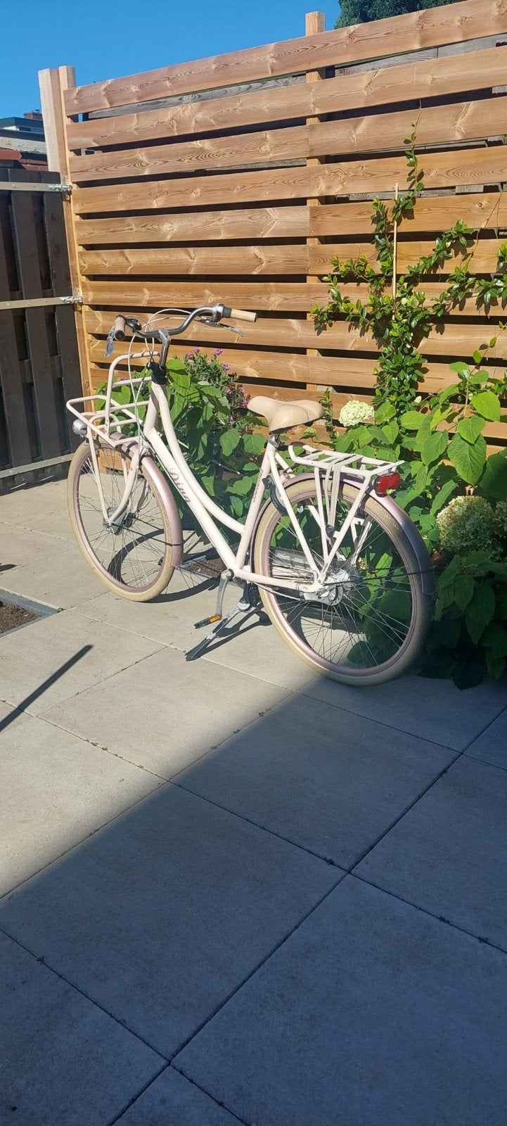 Roze Batavus Diva Damesfiets - Frame 56 cm, Fietsen en Brommers, Ophalen, Terugtraprem, Gebruikt, Versnellingen