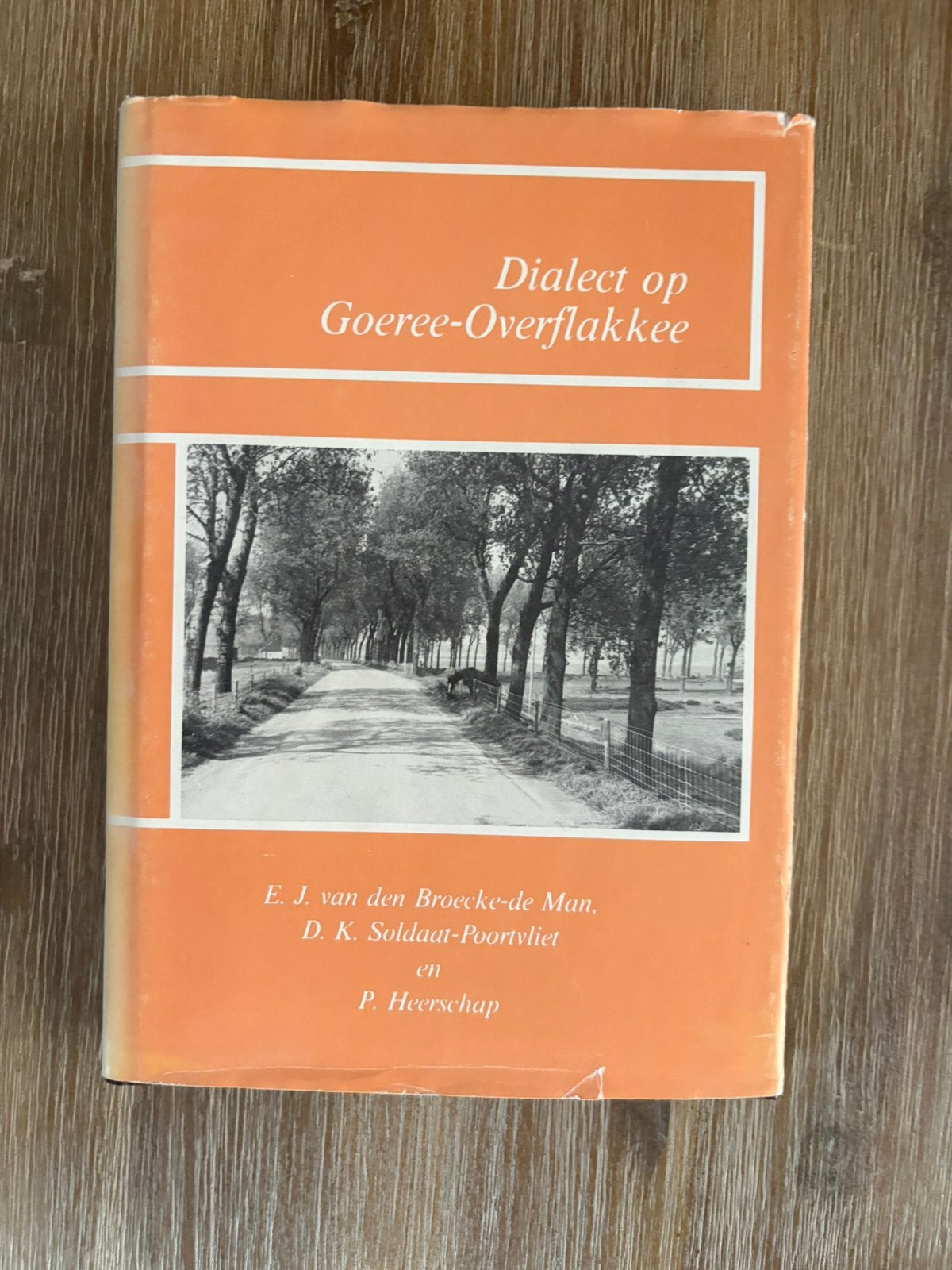 Dialect op Goeree overflakkee, Boeken, Ophalen, Zo goed als nieuw