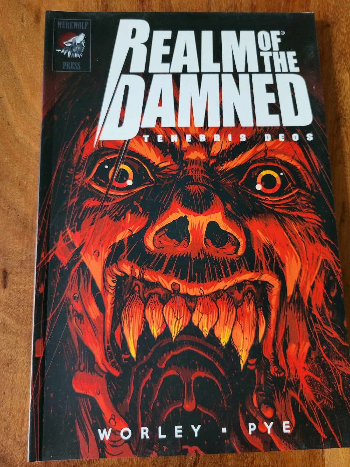 Realm of the Damned: Tenebris Deos - Worley & Pye, Eén stripboek, Ophalen of Verzenden, Zo goed als nieuw, Alec Worley, Pye