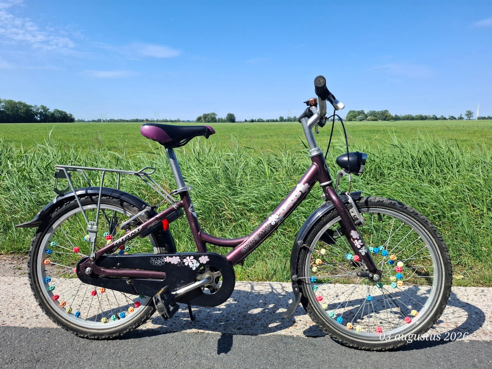 Giant kinderfiets paars met bloemenprint, Fietsen en Brommers, Ophalen, Gebruikt, Giant, Terugtraprem