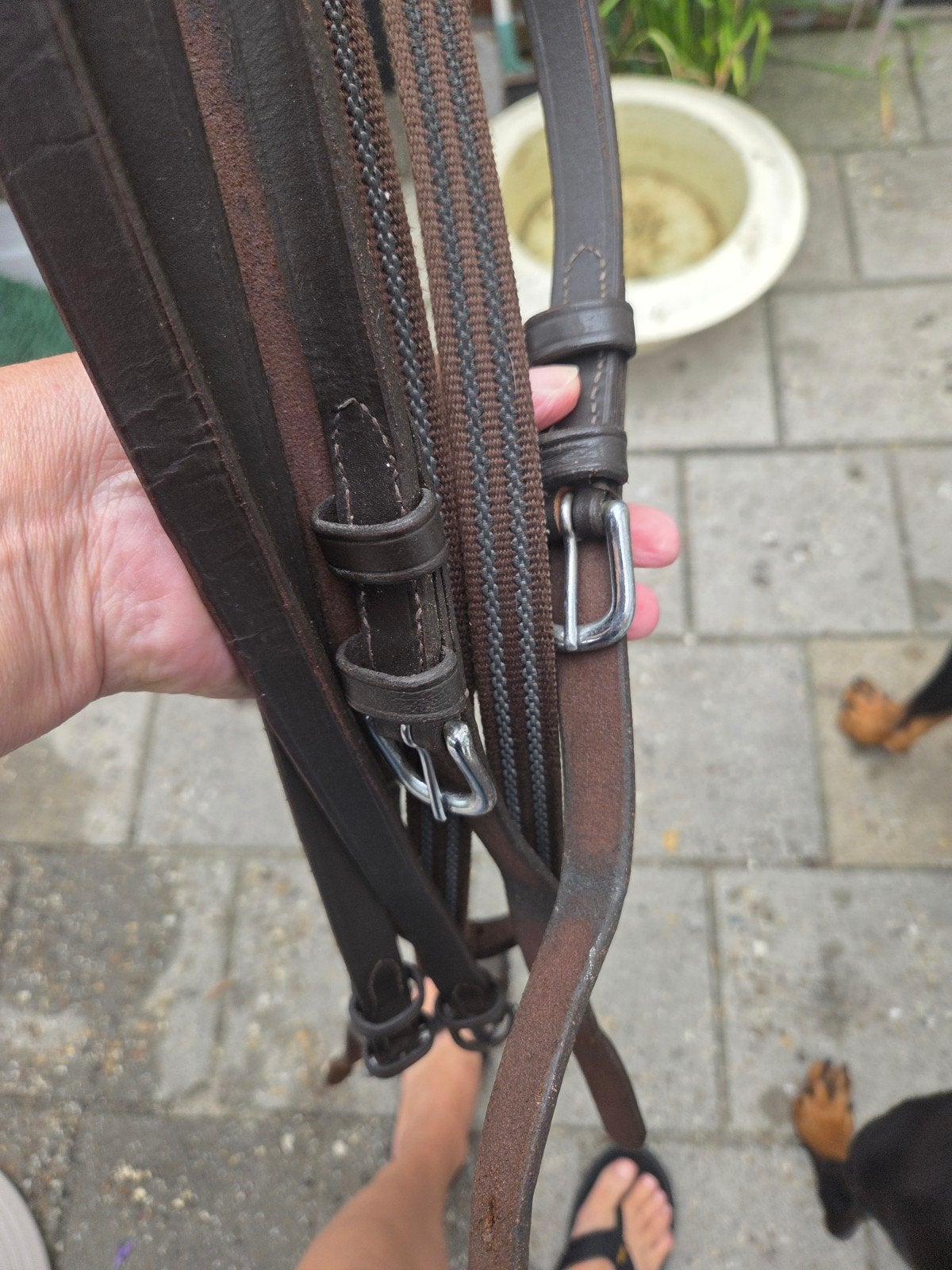 2 span Pony leidsel anti slip / leer bruin, Ophalen of Verzenden, Zo goed als nieuw