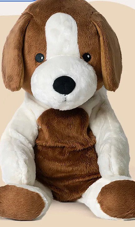 Gezocht Lotgenootje hond, Ophalen, Gebruikt, Hond