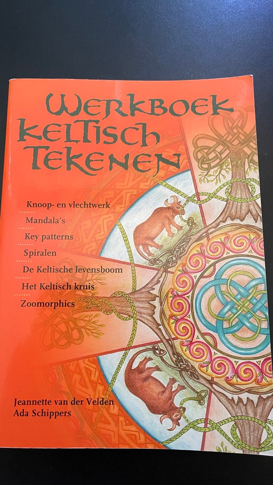 Werkboek Keltisch Tekenen - Knoop- en vlechtwerk, Mandala's, Ophalen of Verzenden, Zo goed als nieuw, Tekenen en Schilderen