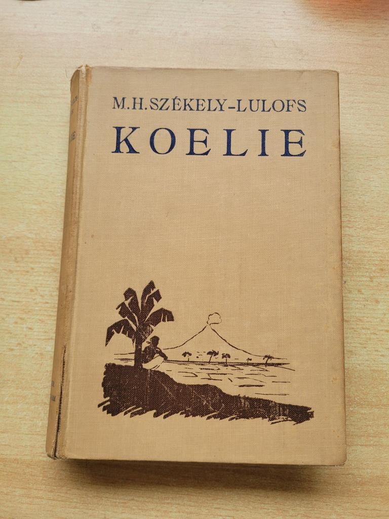 Koelie, Ophalen of Verzenden