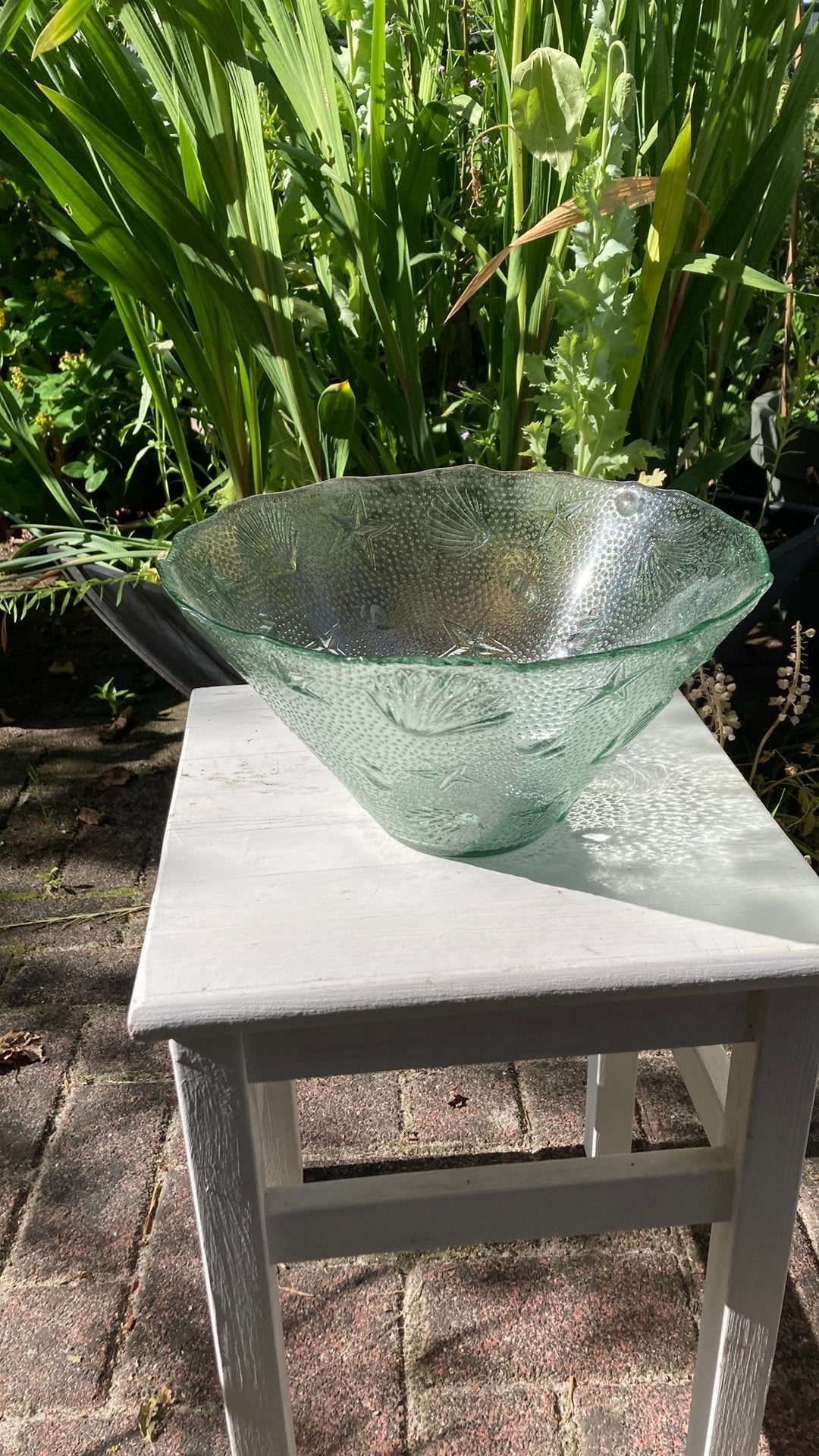 Schaal glas schelpdieren en zee ster motief, Ophalen