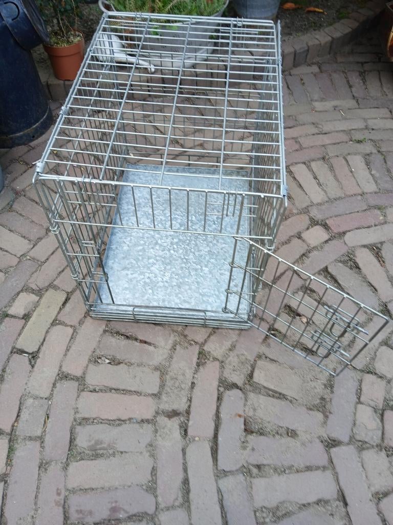 Dieren Bench, Ophalen, Zo goed als nieuw, Minder dan 75 cm, Minder dan 65 cm