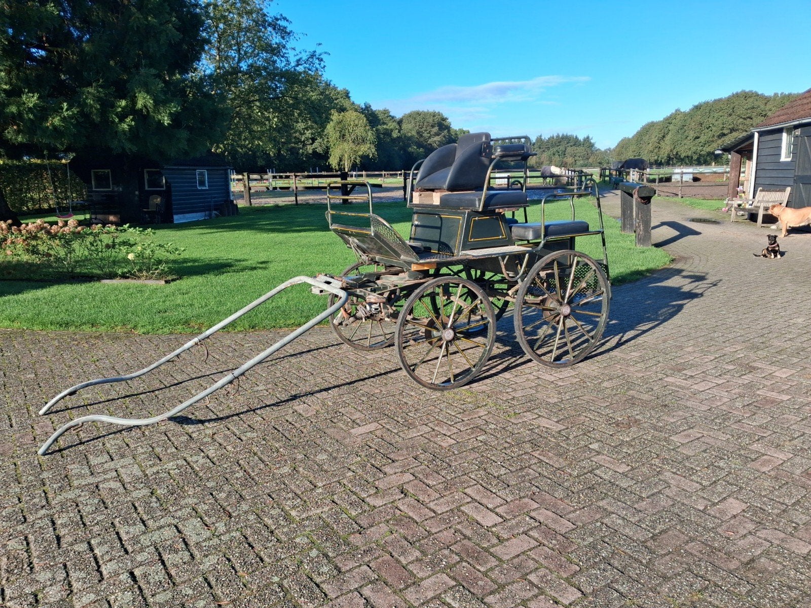 trainingswagen, Dieren en Toebehoren, Gebruikt