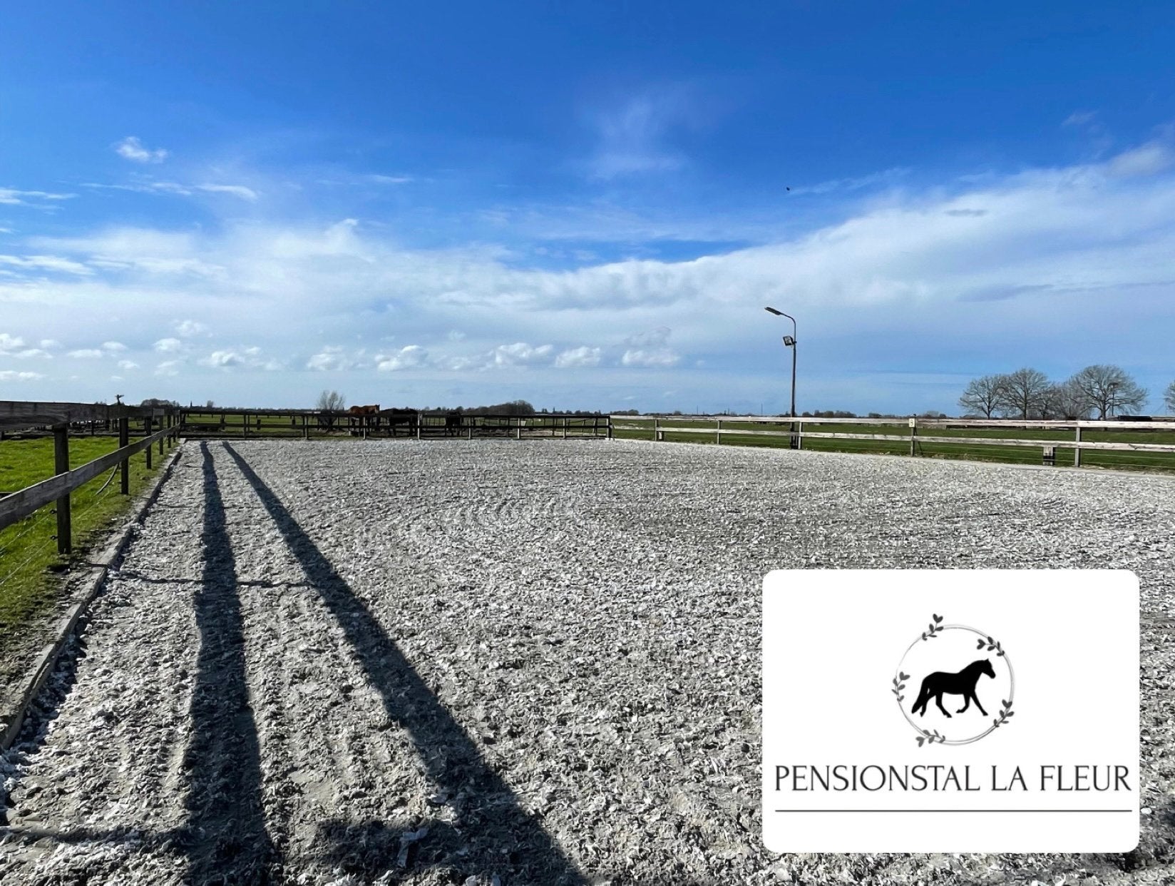 Pensionstal beschikbaar, Weidegang, 2 of 3 paarden of pony's