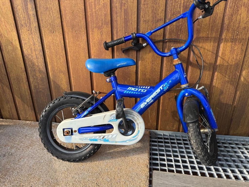 Te koop en mooi Kinderfiets 12 inch, Ophalen of Verzenden, Zo goed als nieuw, 26 inch of meer, EVERST
