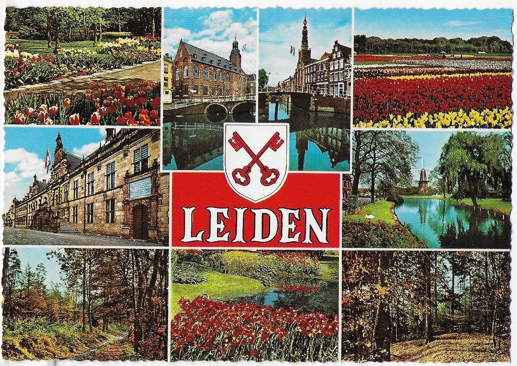 Vledder gelopen ansichtkaart ( 147 ), Verzamelen, Ansichtkaarten | Nederland, Ophalen of Verzenden, 1980 tot heden, Gelopen