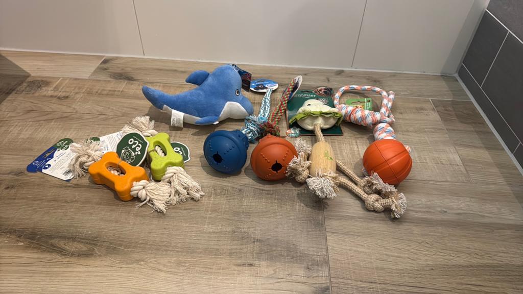 Divers hondenspeelgoed, Ophalen of Verzenden, Nieuw