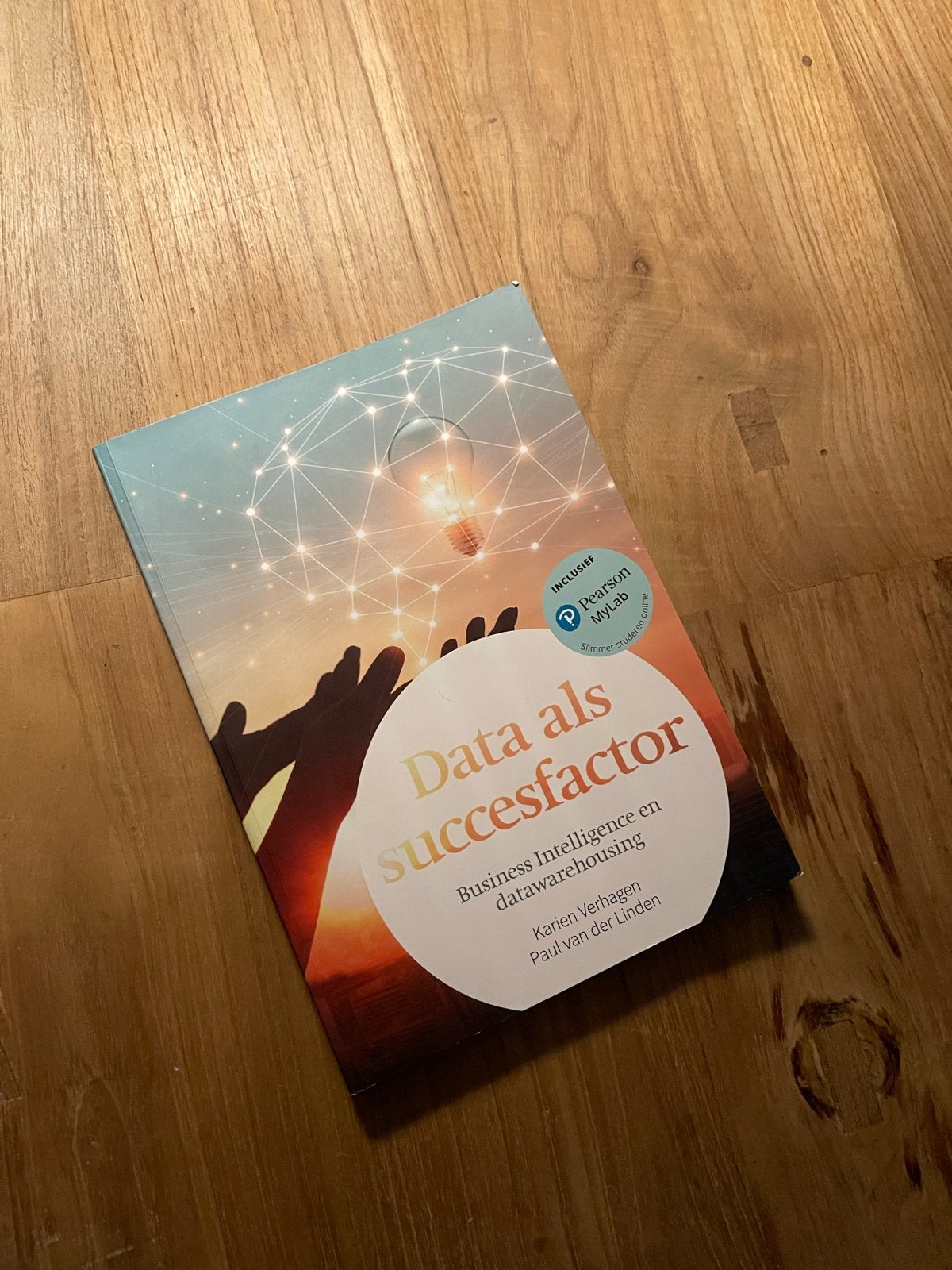 Data als Succesfactor, Ophalen of Verzenden, Beta, Zo goed als nieuw, HBO