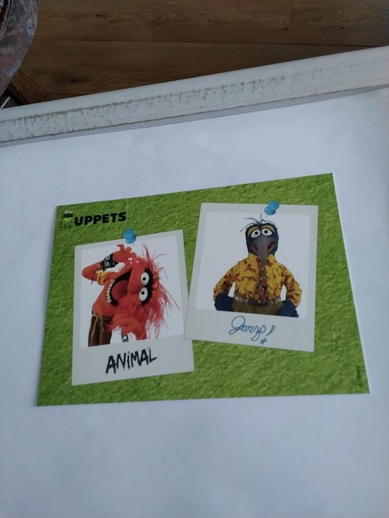 MUPPETS.  / ANIMAL.  GONZO!, Verzamelen, Ophalen of Verzenden, Sterren en Beroemdheden