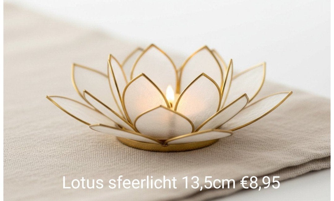 Lotus sfeerlicht van schelp 13,5cm, Overige materialen, Phoenix, 13 cm, Waxinelichthouder