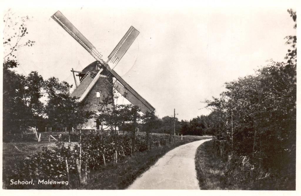 Schoorl, Molenweg (1955) 131091, Ophalen of Verzenden, 1940 tot 1960, Gelopen, Noord-Holland