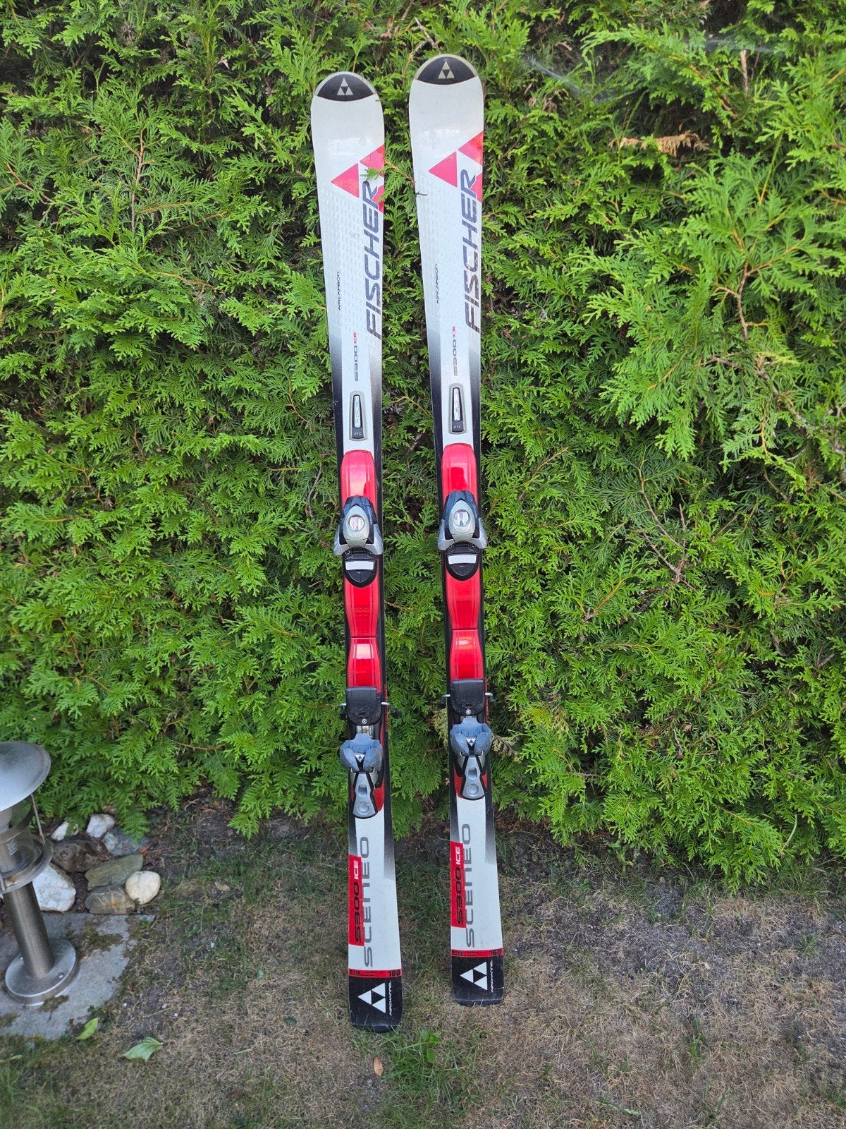 Fischer Ski's - Sceneo - 160 cm, Ophalen, 160 tot 180 cm, Skiën, Ski's