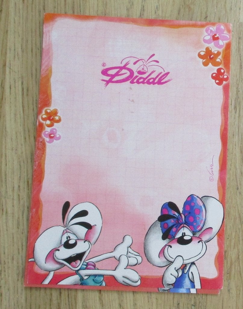 diddl en vriendinnetje A6formaat 15vellen + kaft, Verzamelen, Diddl, Ophalen of Verzenden, Diddl, Zo goed als nieuw, Papier, Kaart of Schrift