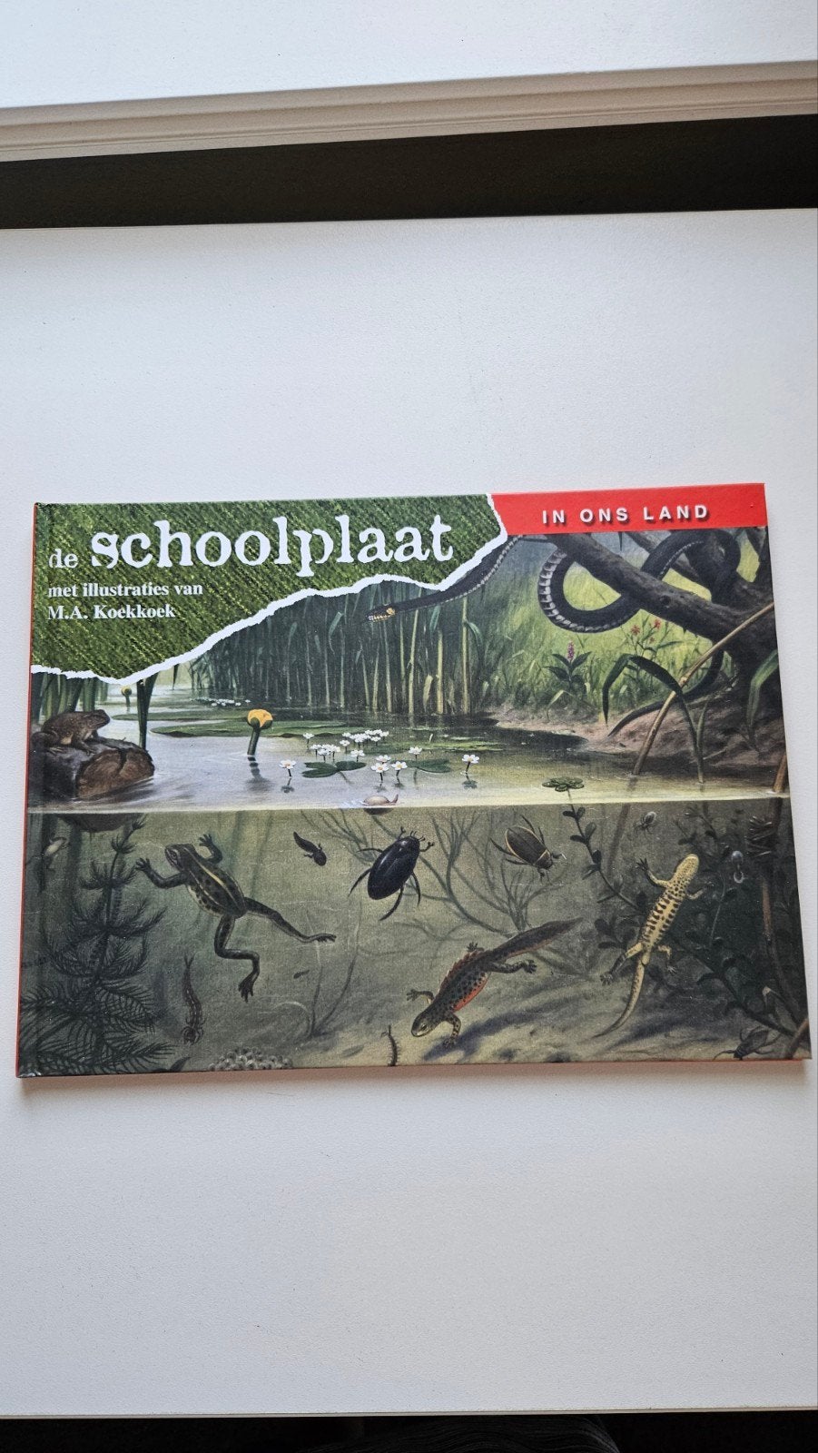 De Schoolplaat - In ons land - M.A. Koekkoek, Ophalen of Verzenden, Nieuw, Natuur algemeen, M.A. Koekkoek