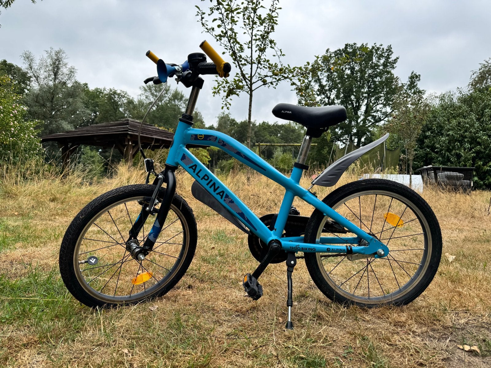 Alpina kinderfiets 18 inch, hand- en terugtraprem, Fietsen en Brommers, Ophalen, Zo goed als nieuw, Terugtraprem, 16 tot 20 inch