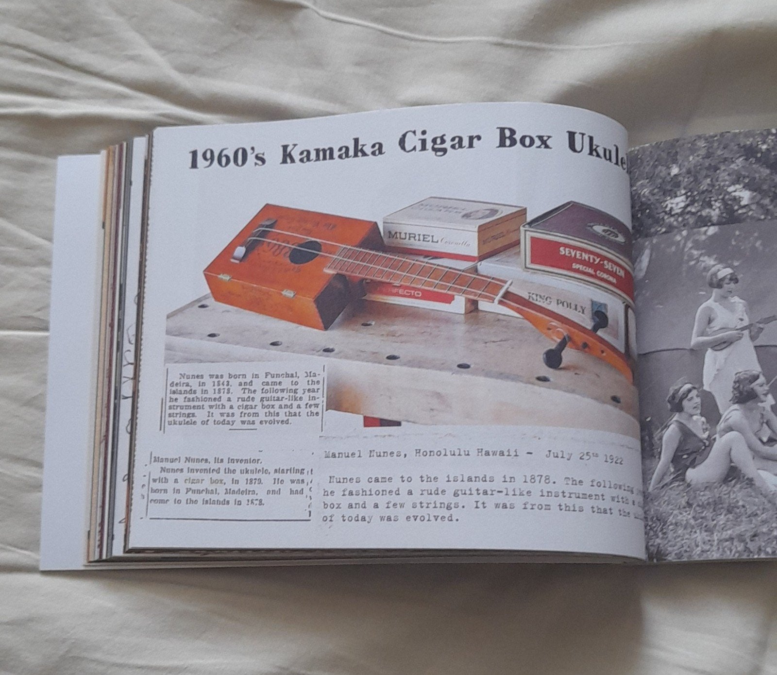 Cigar Box Gitaar Boek - Muziekgeschiedenis, Ophalen of Verzenden, Zo goed als nieuw, Artiest, Onbekend