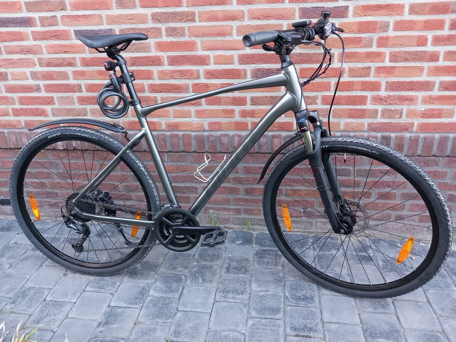 Mountainbike Giant Roam, Ophalen, 28 inch, Vering, Velgrem