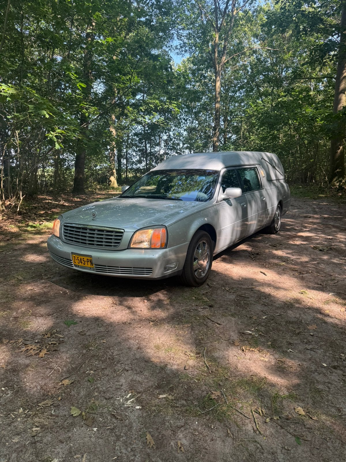 Cadillac Deville (rouwauto) 2001 Grijs, 273 pk, Particulier, 4600 cc, Zilver of Grijs