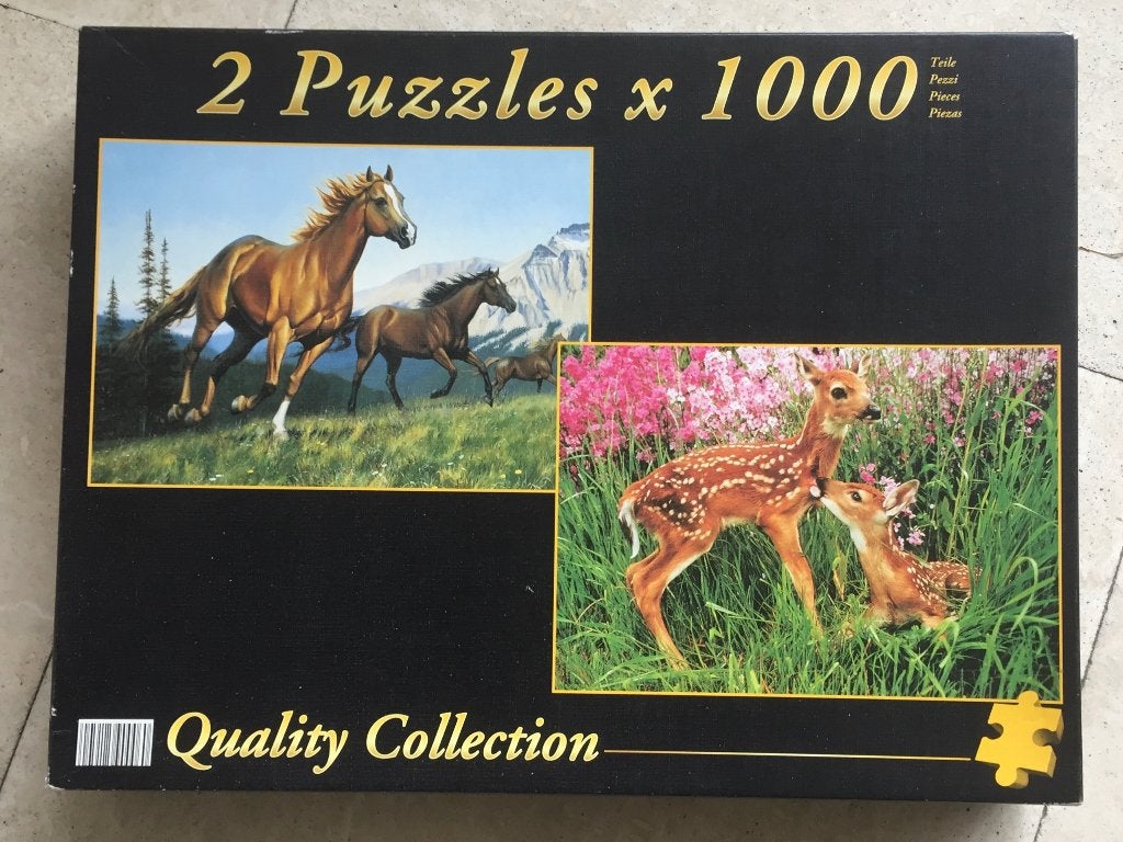 2 Puzzel van 2x 1000 stukjes in doos, Ophalen, 500 t/m 1500 stukjes, Zo goed als nieuw, Legpuzzel