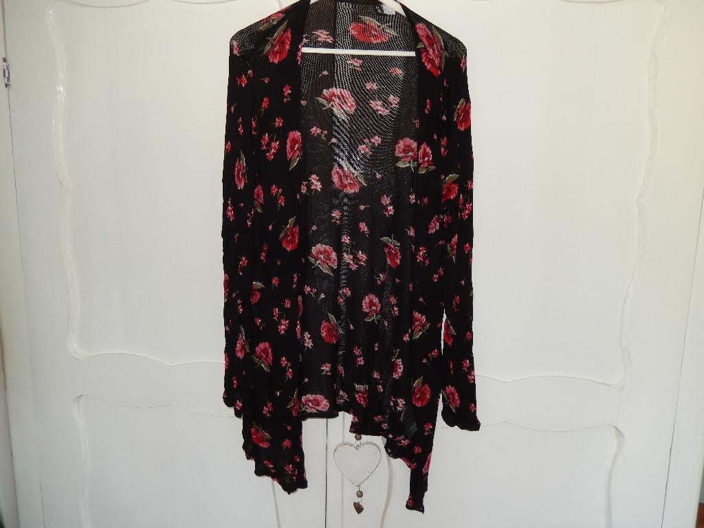 * H&M divided zwart vest met roze rozen / bloemen maat L, Kleding | Dames, Truien en Vesten, H&M, Zwart, Maat 42/44 (L), Ophalen of Verzenden