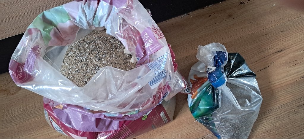 aguaruim grind, Dieren en Toebehoren, Vis, Zoetwatervis