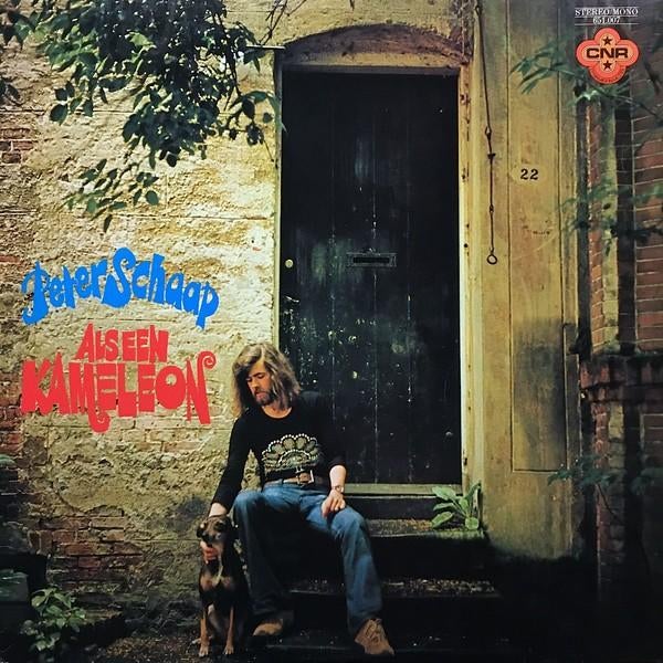 Peter Schaap - Als Een Kameleon (LP, 1975), Cd's en Dvd's, Vinyl | Nederlandstalig, Ophalen of Verzenden, Gebruikt, 12 inch, Levenslied of Smartlap