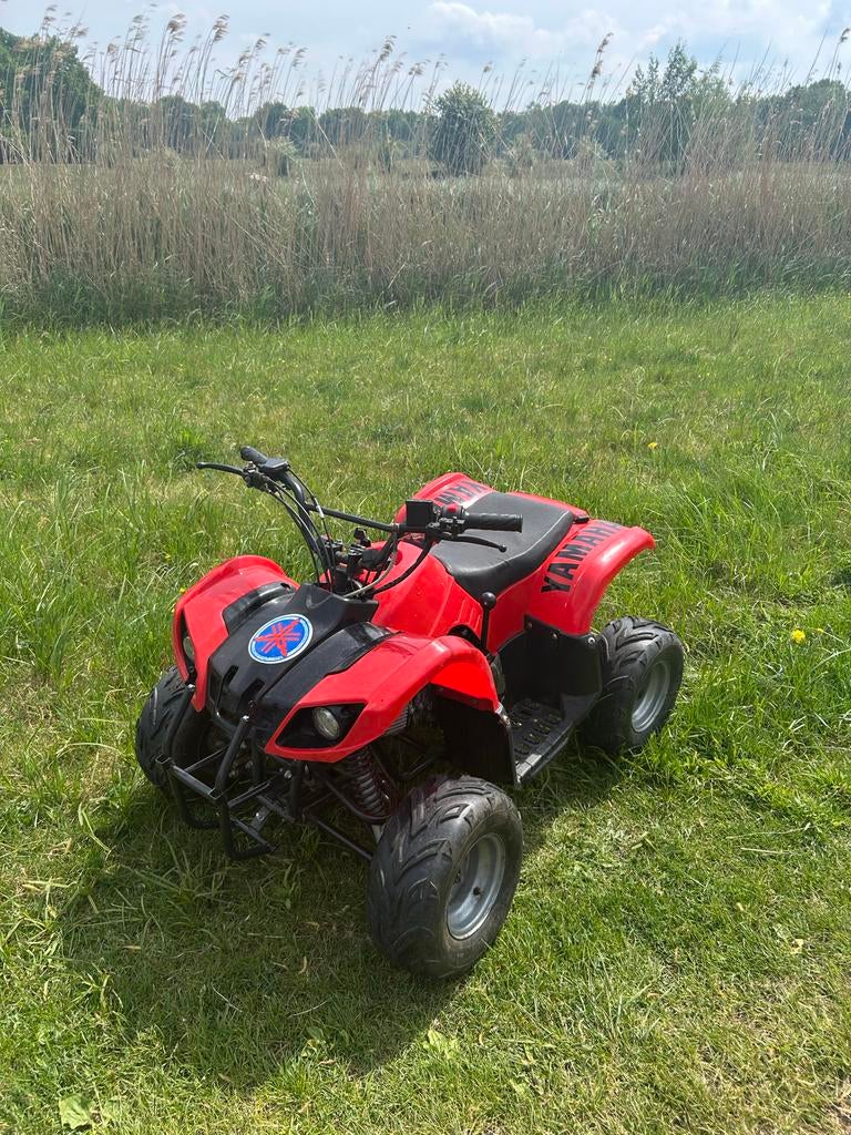 110cc grote  Kinderquad - loopt perfect, Fietsen en Brommers, Minibikes, Midibikes en Pitbikes, Ophalen, Gebruikt, Overige typen