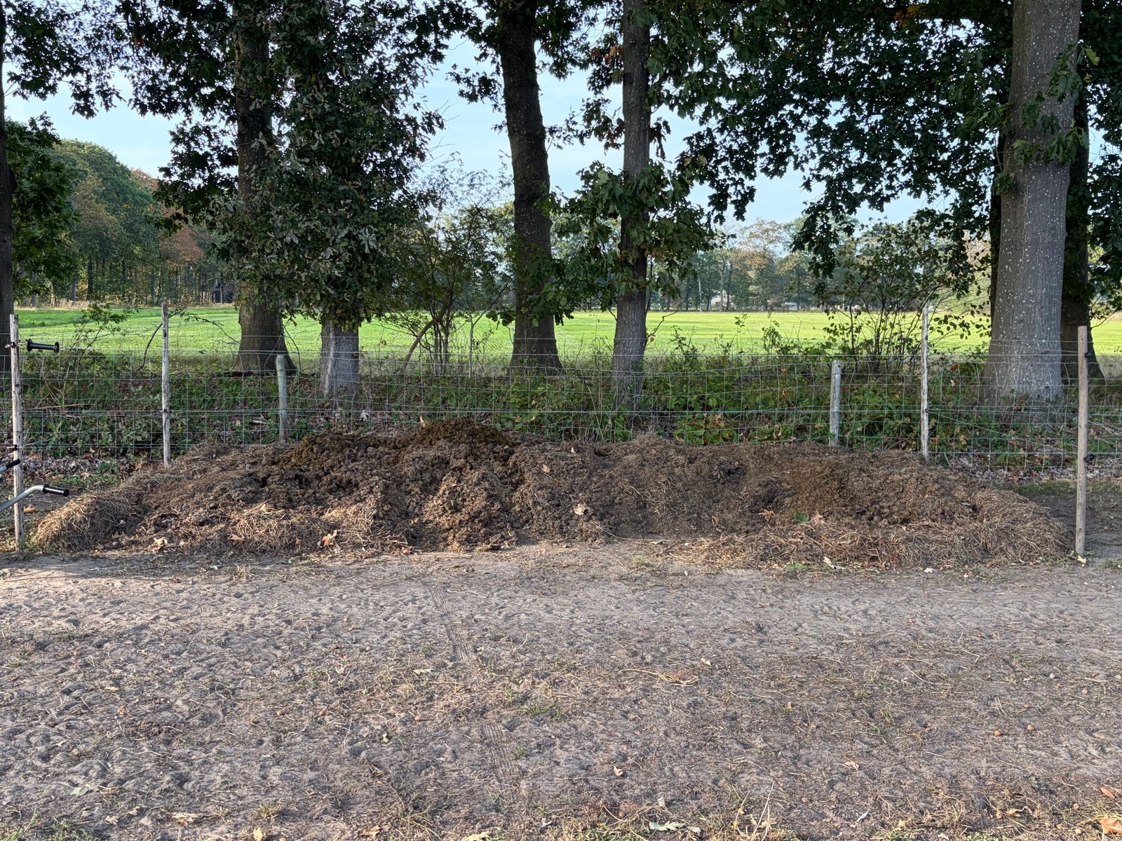 paardenmest op te halen, Tuin en Terras, Ophalen, Mest