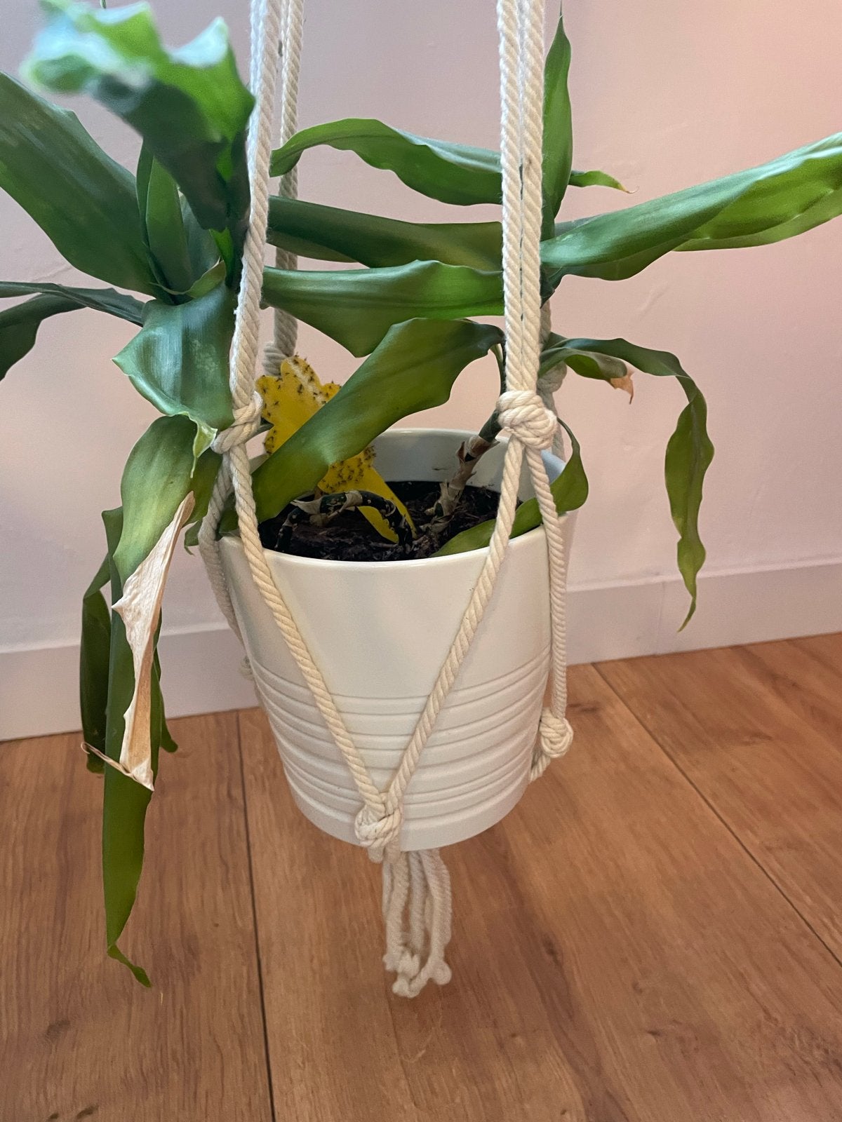 Macramé plantenhanger, Ophalen, Overige materialen, 100 cm of meer, Zo goed als nieuw