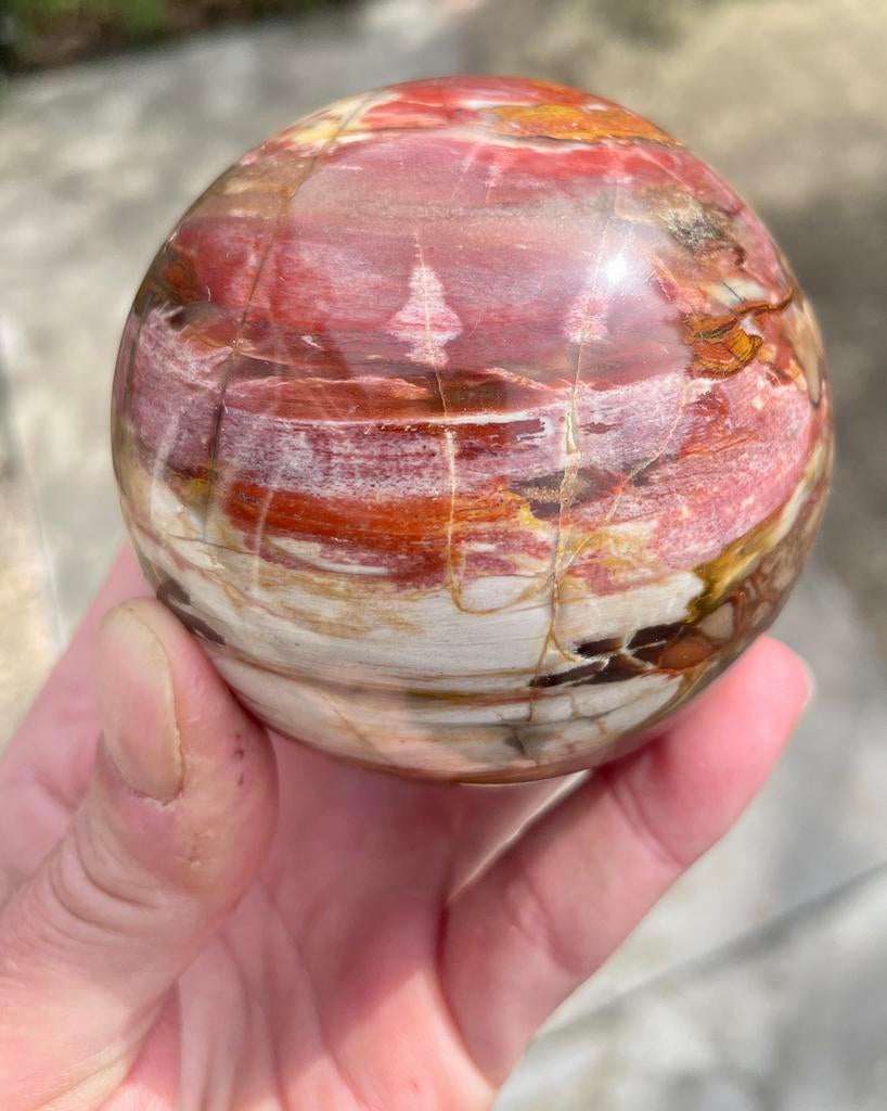 Versteend hout 524 gram, Ophalen of Verzenden, Mineraal