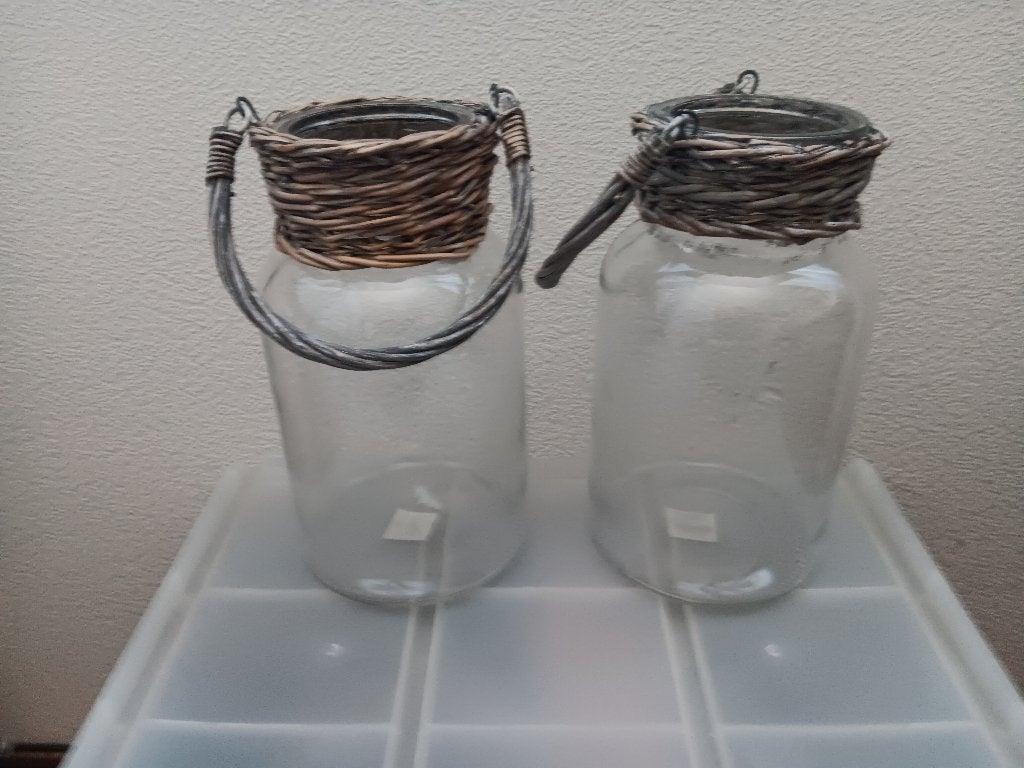 Mooie nieuwe grote glazen vazen met riet, Huis en Inrichting, Woonaccessoires | Vazen, Ophalen, Zo goed als nieuw, Overige kleuren