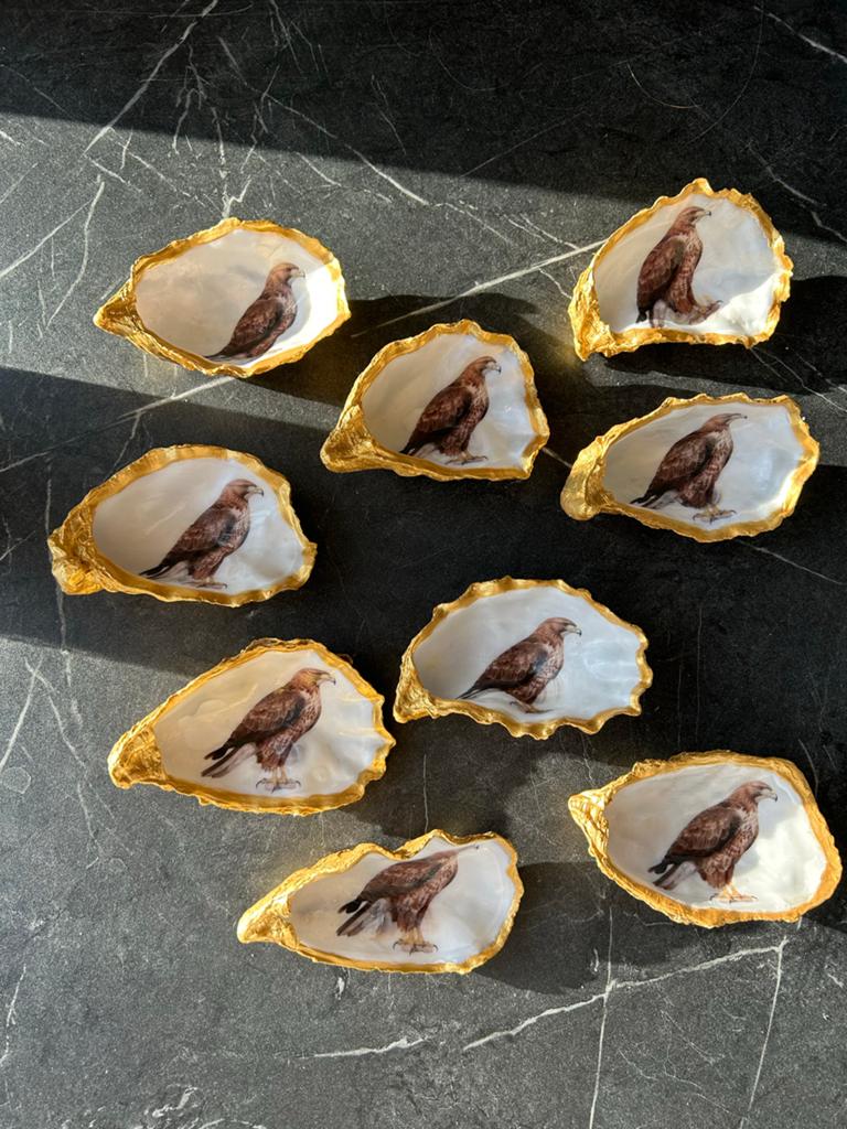 Decoratieve oesterschelpen met vogelmotief buizerd alles kan, Dieren en Toebehoren, Mannelijk