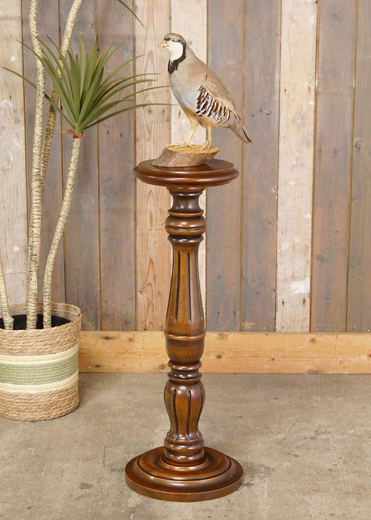 Sierlijke brocante houten pilaar zuil rond plateau piëdestal, Gebruikt, --, Ophalen of Verzenden, --