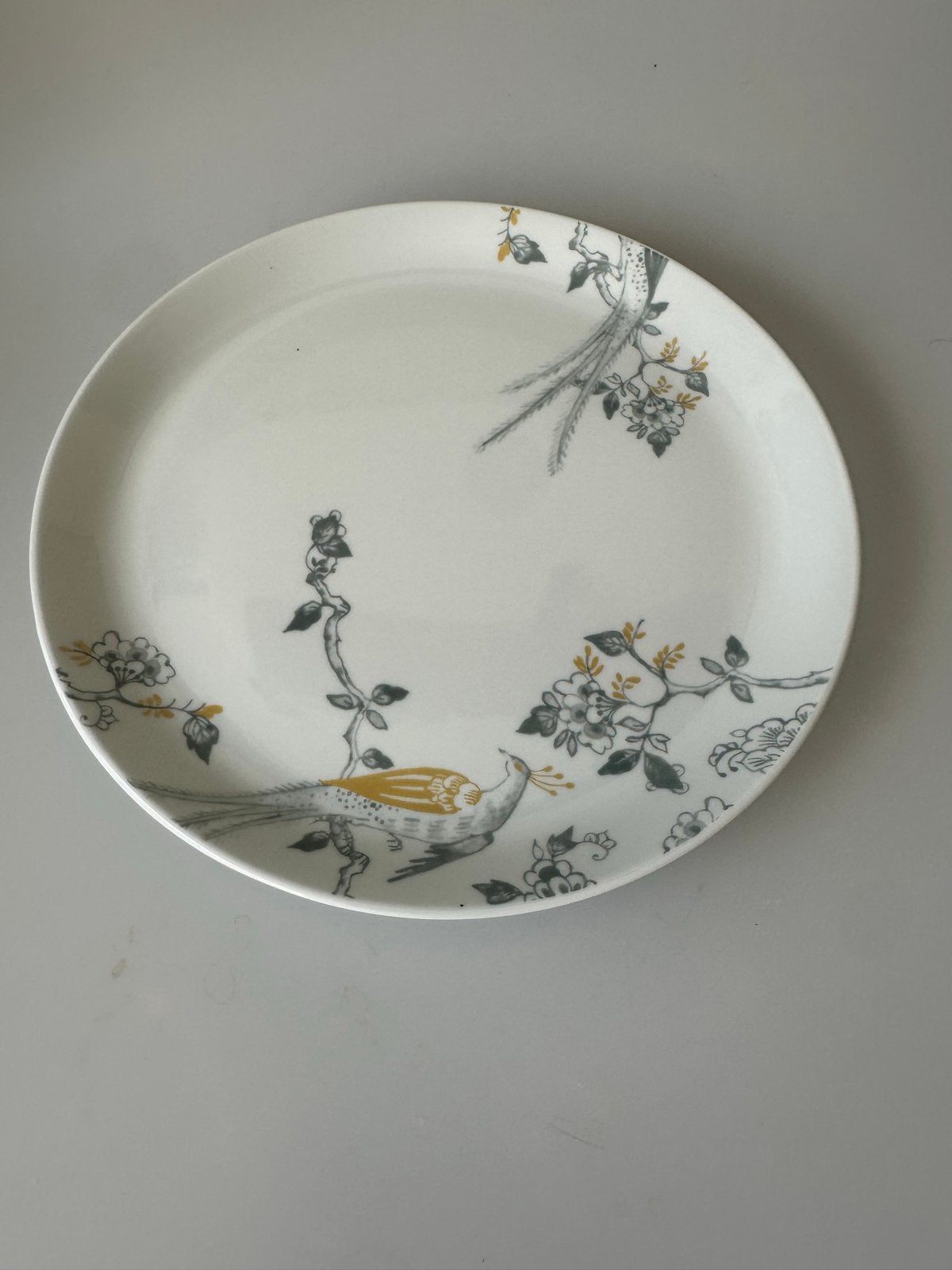 2 Villeroy & Boch Vivo borden peacock, Ophalen of Verzenden
