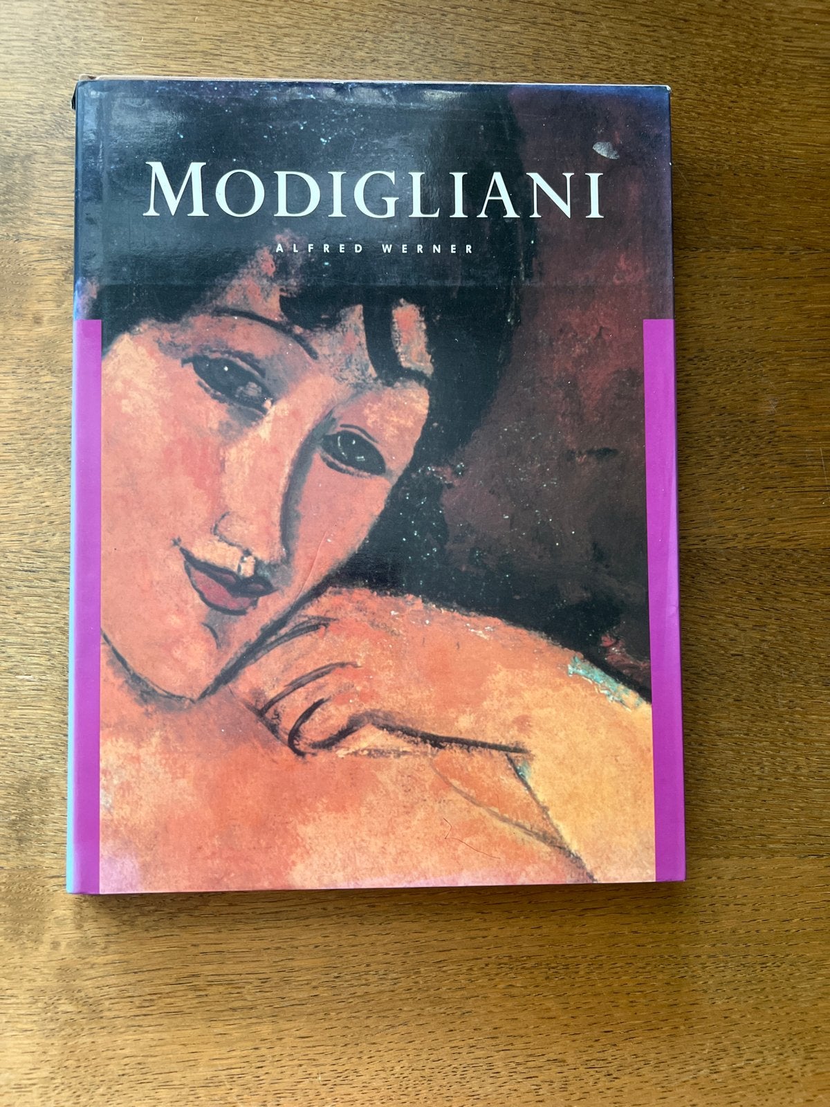 Modigliani kunstboek - Alfred Werner, Ophalen of Verzenden, Zo goed als nieuw, Schilder- en Tekenkunst