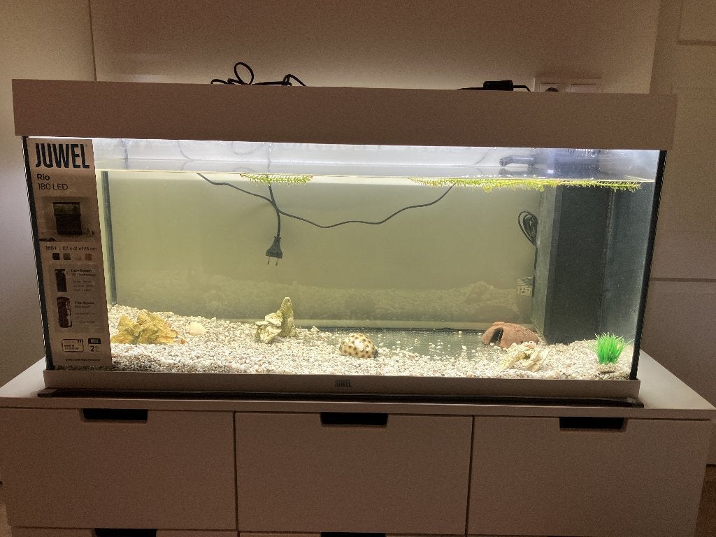 Juwel Aquarium Rio 180 Led, Dieren en Toebehoren, Ophalen, Gebruikt, Leeg aquarium, Verwarming