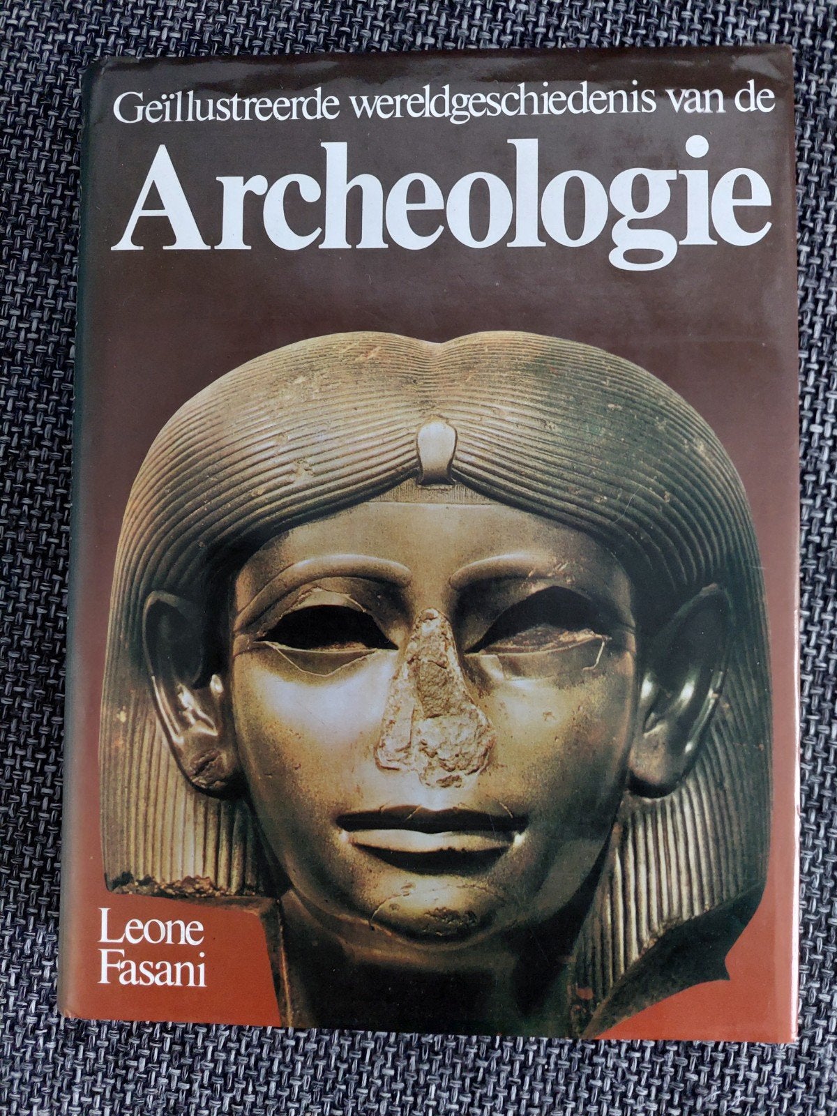 Geïllustreerde wereldgeschiedenis van de Archeologie, Overige gebieden, Leone Fasani, Ophalen of Verzenden, 20e eeuw of later