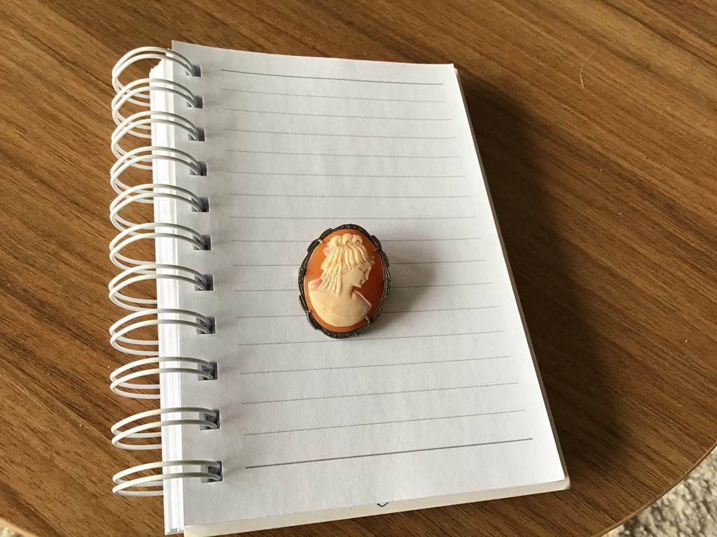 Prachtige CAMEE IN ZILVEREN GEZET, Ophalen of Verzenden, Overige materialen, Hanger