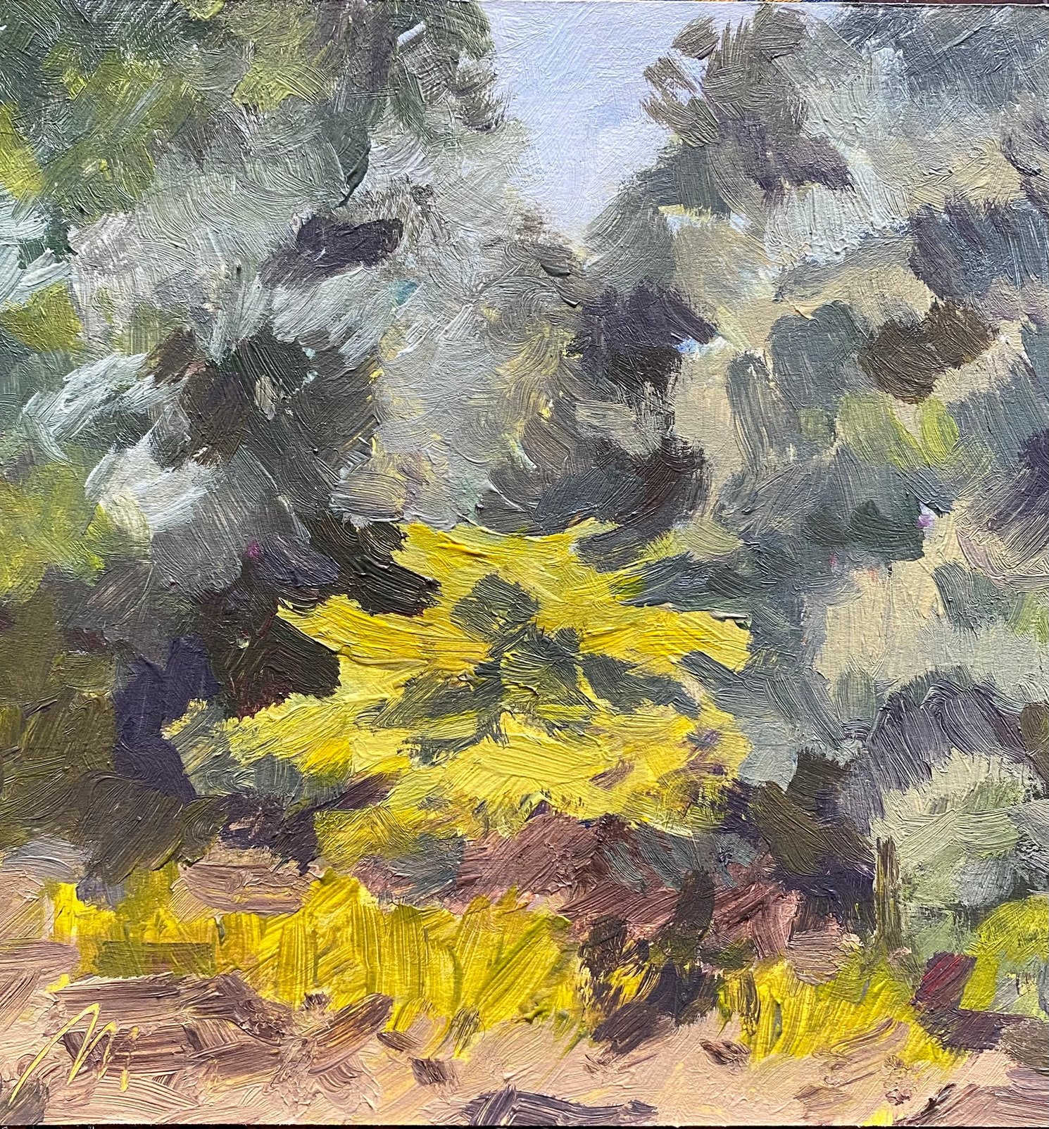 Landschap studie, Ophalen of Verzenden