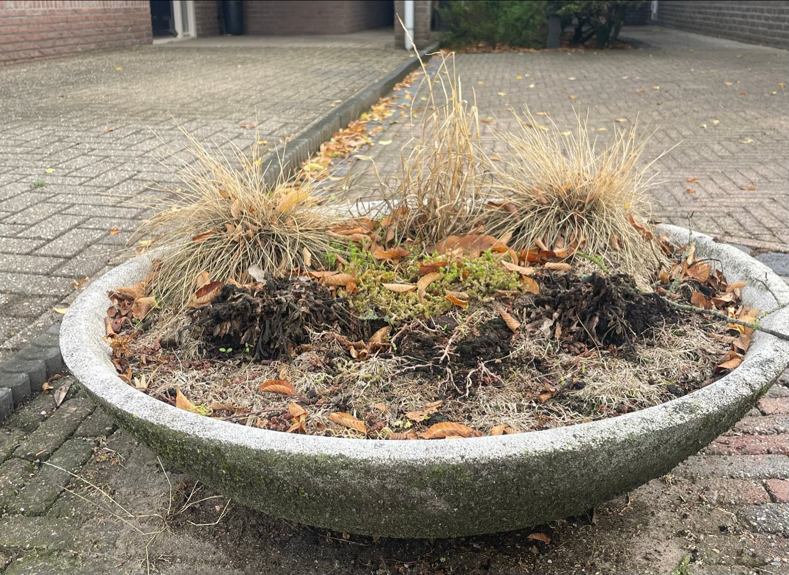 Grote ronde betonnen schaal voor planten of waterplanten, Ophalen, Gebruikt, 40 cm of meer, Rond