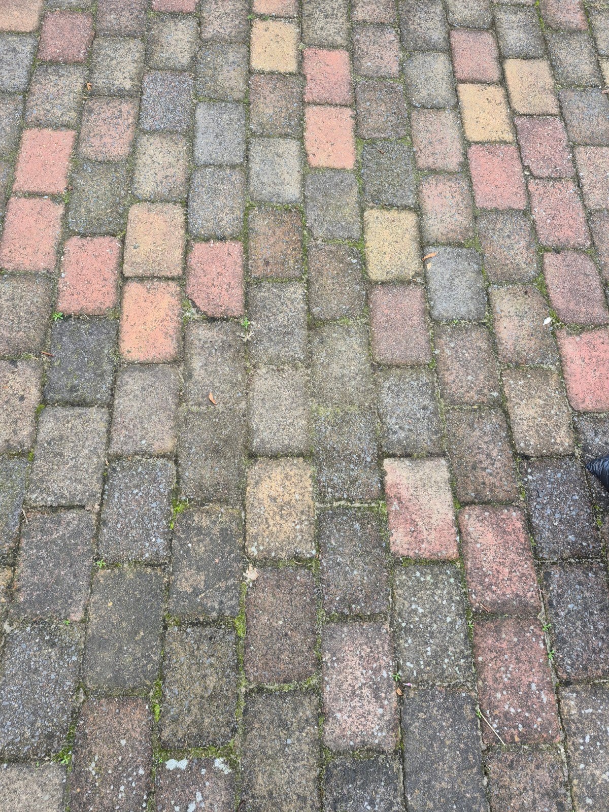 80 tot 100 stenen gebruikt. 14x21x6, Ophalen, Beton, Klinkers