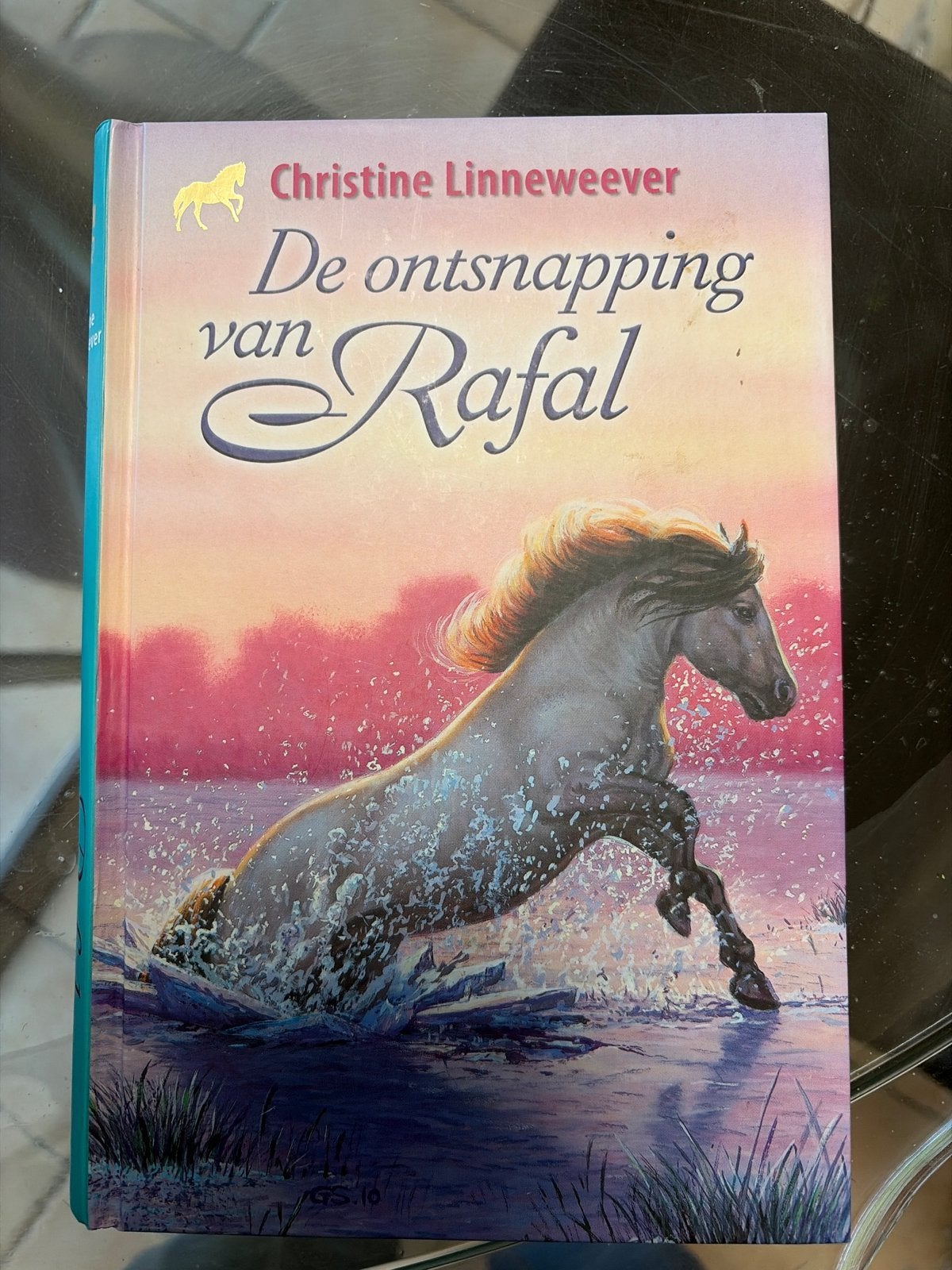 De Ontsnapping van Rafal - Christine Linneweever, Ophalen of Verzenden, Gelezen, Fictie algemeen