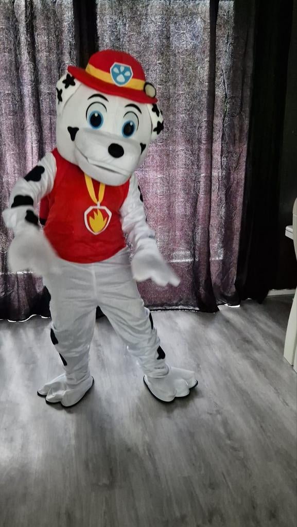Te huur Paw Patrol Marshall kostuum - Maat L, Ophalen of Verzenden, Gebruikt, Pak of Jurk