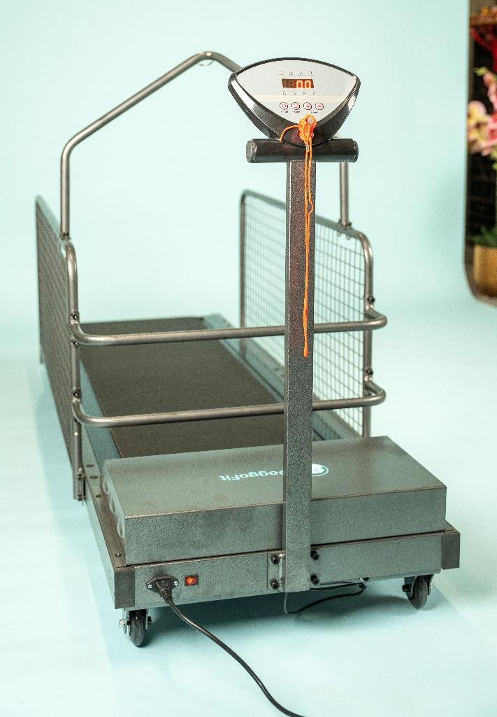 Hondenloopband / Dogmill / Treadmill, Ophalen of Verzenden, Nieuw